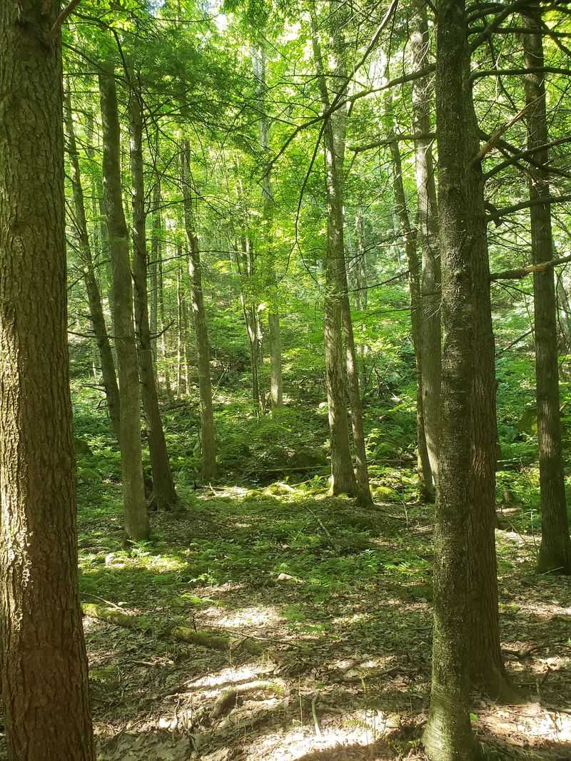A Mountain Town Secret Revealed