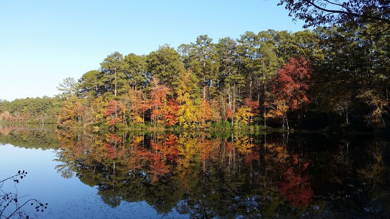 The Lake Loop Makes Leaf Peeping Ridiculously Easy