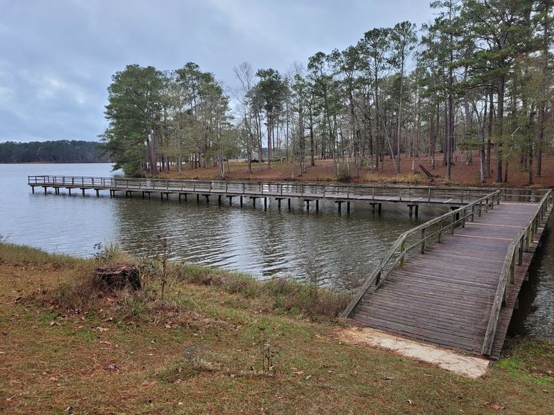 Lakeside Parkland In Southwest Mississippi
