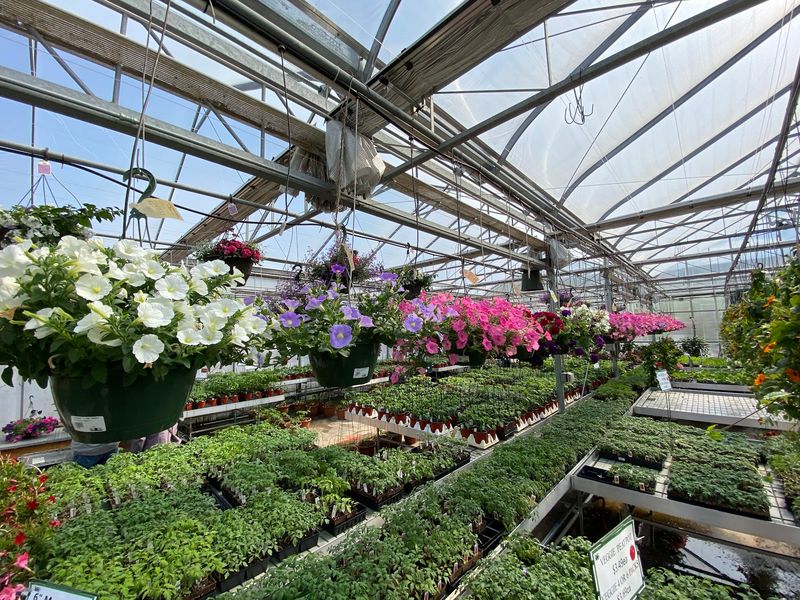 Four Generations Built This Place One Season At A Time