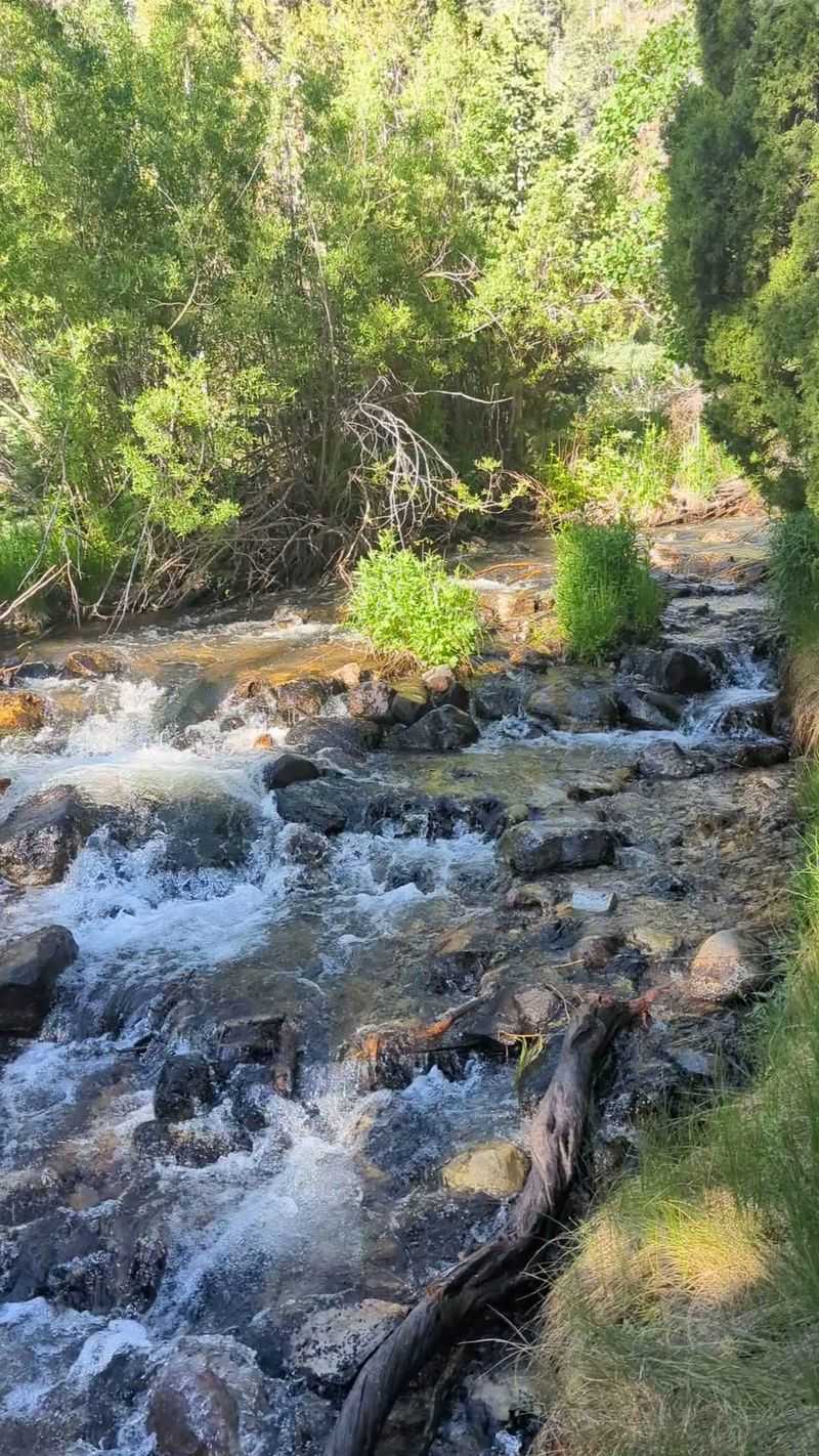 A Creek Runs Through It, And You Get Front-Row Seats