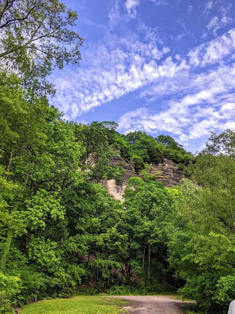 A Gravel Road at the Edge of the Shawnee