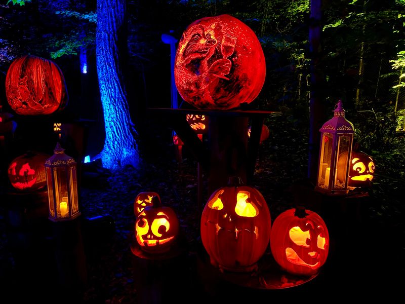 Thousands Of Glowing Faces Are Waiting Behind The Amphitheater
