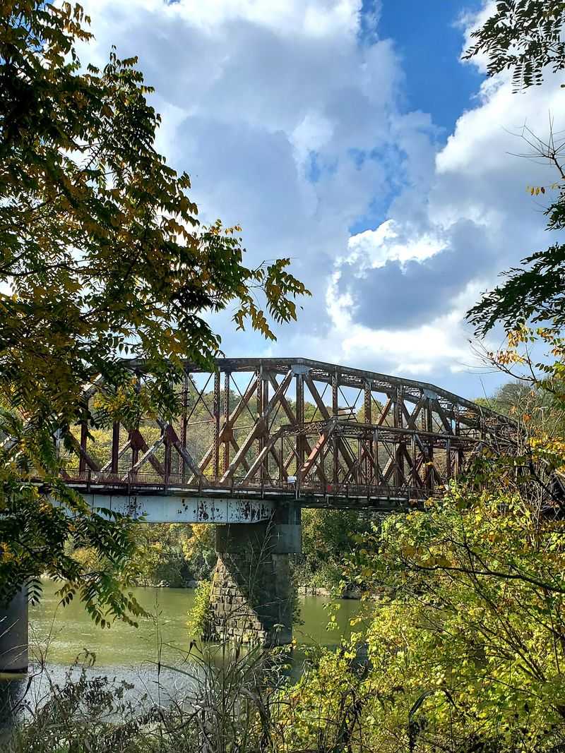 Fall Color Turns This Riverbank Into A Moving Painting