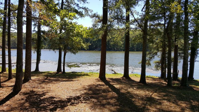 A Lakeside Park in the Heart of Mississippi