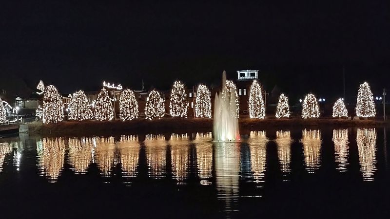 Nine Little Trees Started A Very Big Glow