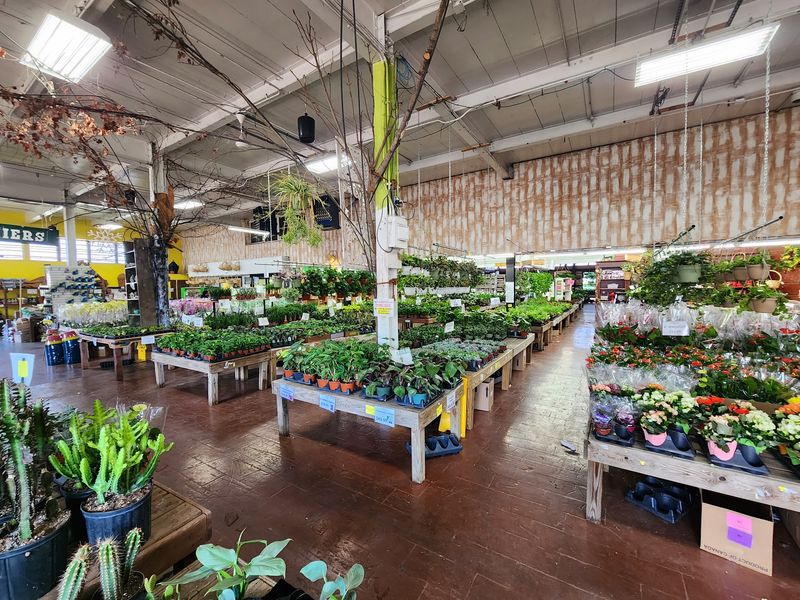 A Produce Stand Started This Whole Green Empire