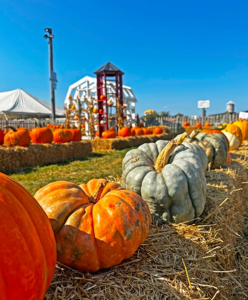 A Not-So-Scary Halloween That Even Toddlers Can Love