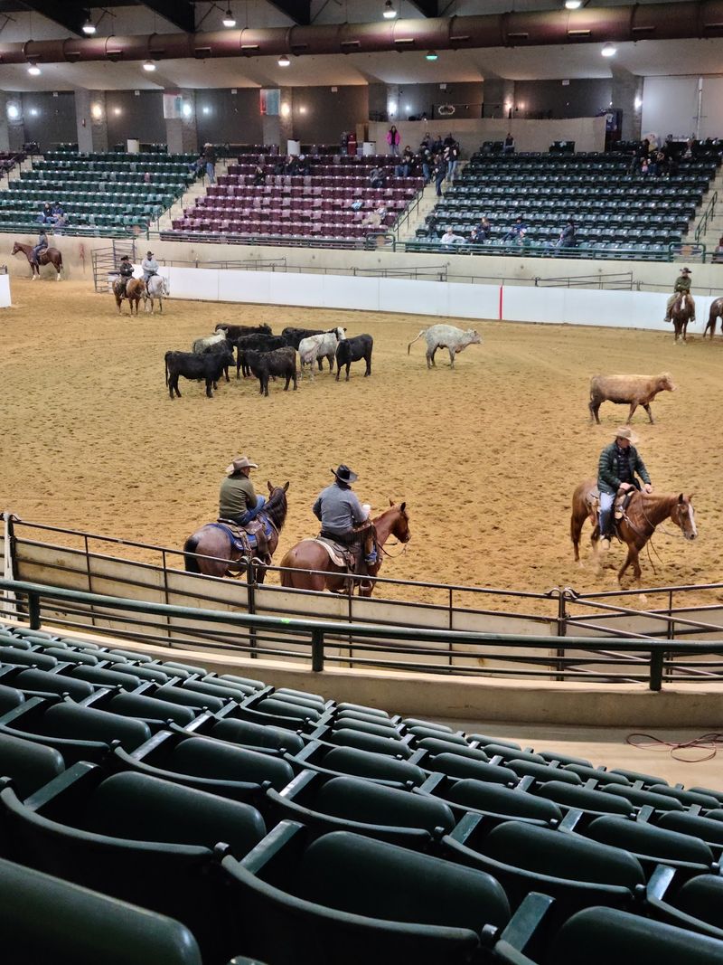 A State Fairgrounds Arena Built for Horses