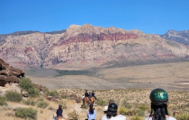 Saddle Up Far From The City Buzz