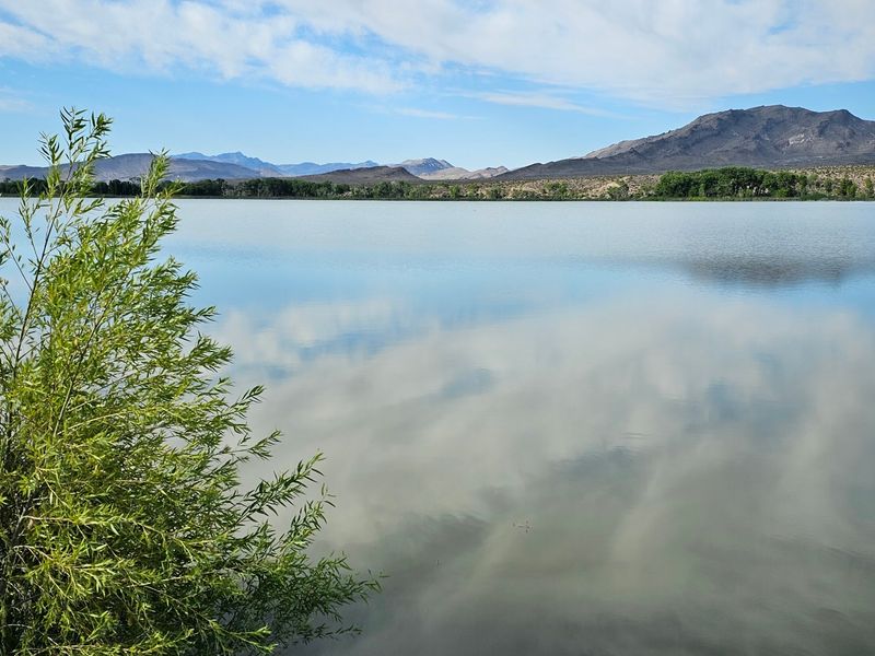 A Desert Oasis That Feels Too Good To Be True