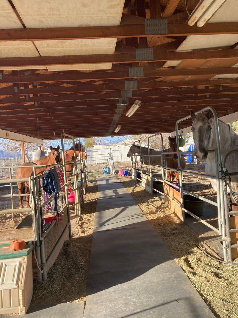 A Family Horse Ranch Out In The Mojave Where Kids Saddle Up