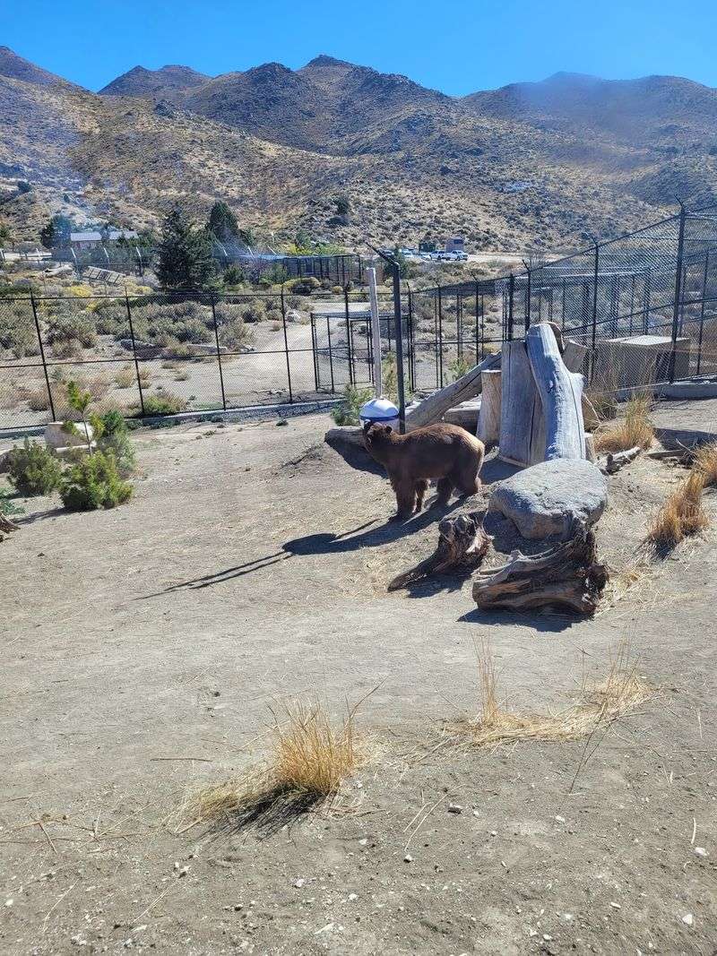 A Wildlife Refuge in the Foothills North of Reno