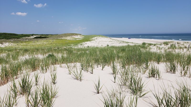 A Barrier Island That Time Forgot