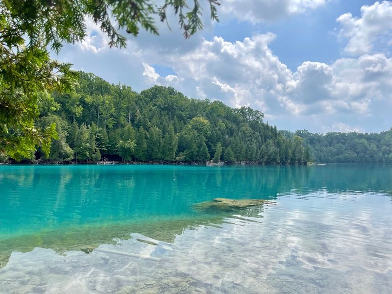 The Color Comes From A Lake That Refuses To Mix