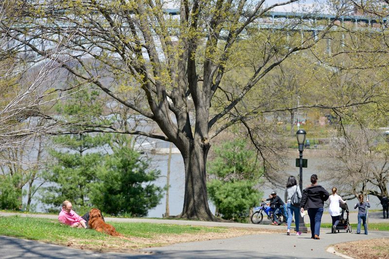 Manhattan's Last Natural Forest Is Still Standing Strong