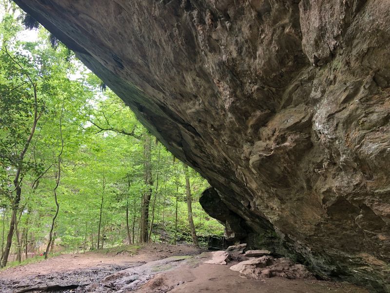 The Cliff That Made Ravens Feel Right At Home
