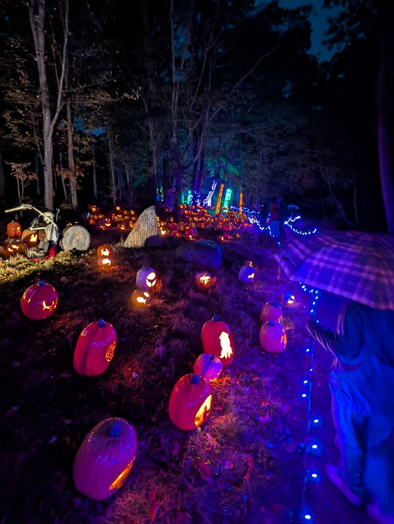 Thousands Of Glowing Faces Will Follow You Down The Trail