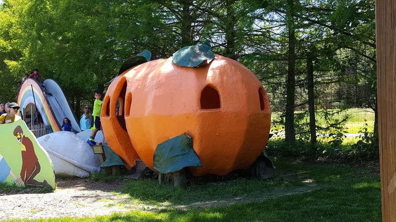 A Hayride Is Your Ticket To The Pumpkin Patch