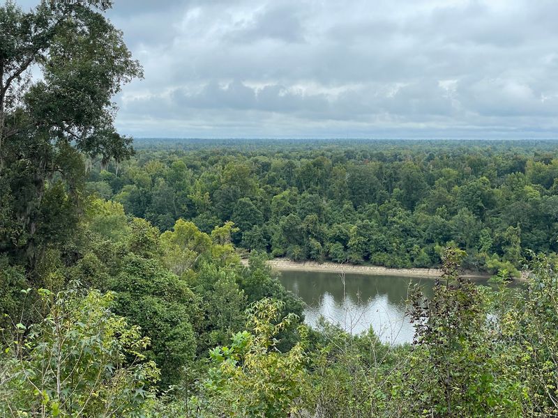 Meet the Park That Skips the Flat Florida Look