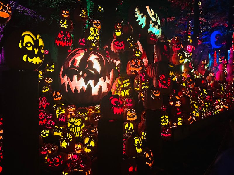 A Glowing Idea With East Coast Roots