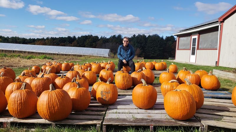 A Family Started Small And Kept Growing Their Own Food
