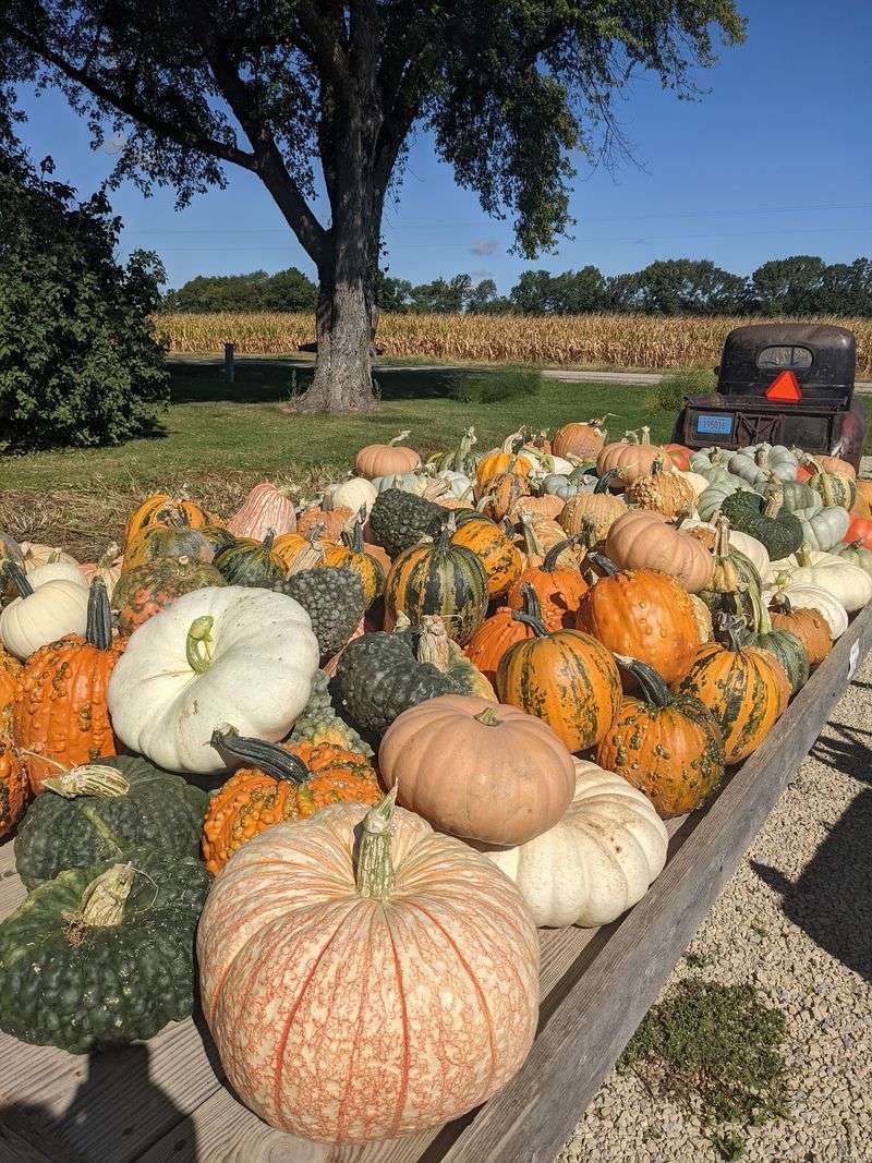 A Family Farm That Feels Like Home