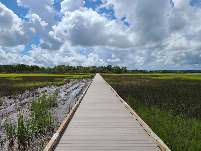 A Boardwalk That Does The Swimming For You