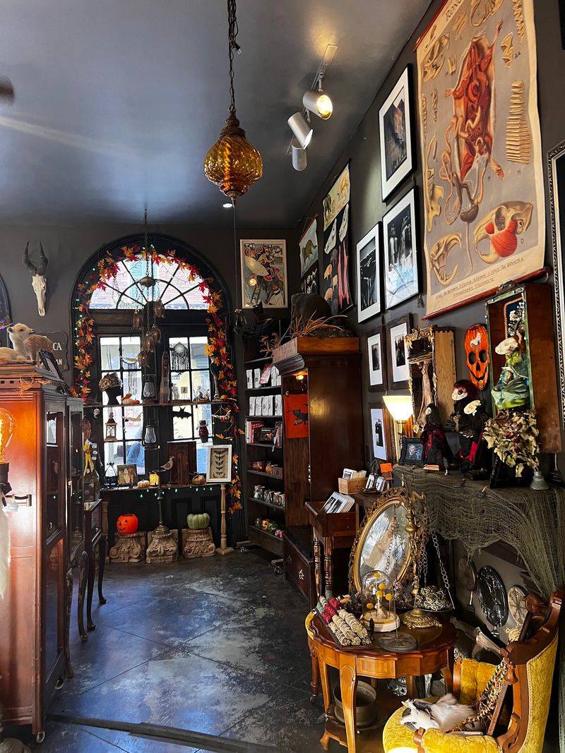 Every Day Really Is Halloween Behind This French Quarter Door