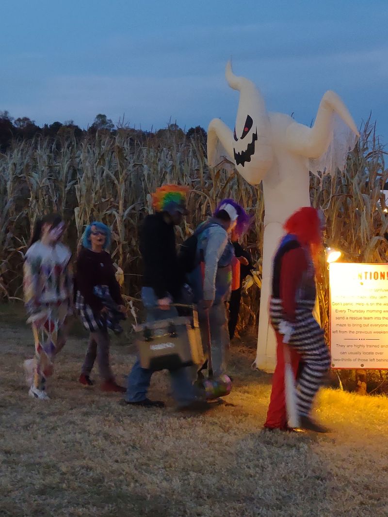 The Maze That Started It All Is Still Out Here Puzzling People