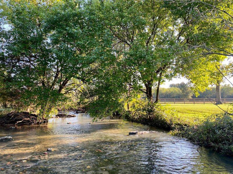 Two Creeks, Three Generations And One Very Busy Family