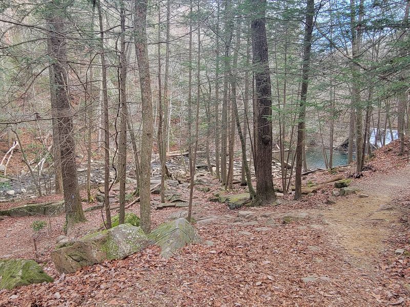 Where The Adventure Begins On Signal Mountain