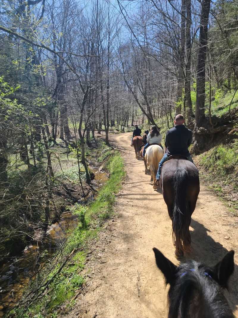 Saddle Up On Seventy Acres Of Woodland