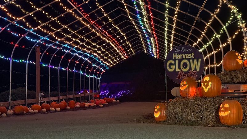 Harvest Fest Takes Over For Five Fun-Filled Weeks