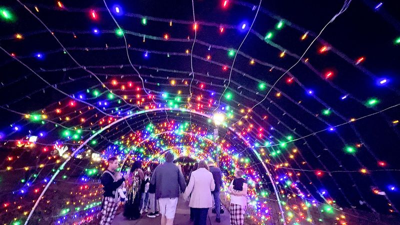 A Million Lights Turn The Riverbank Into Pure Holiday Magic