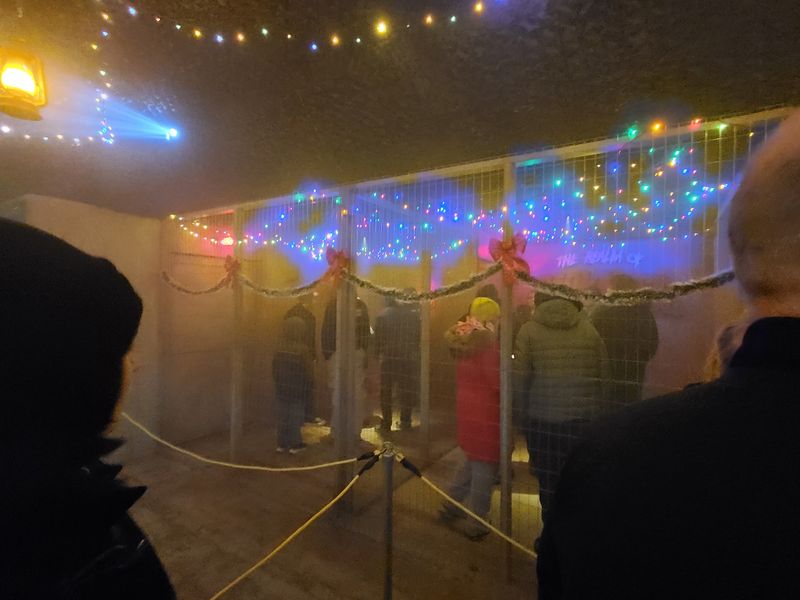 Lights On, Screams Off: A Haunt Made For Little Explorers