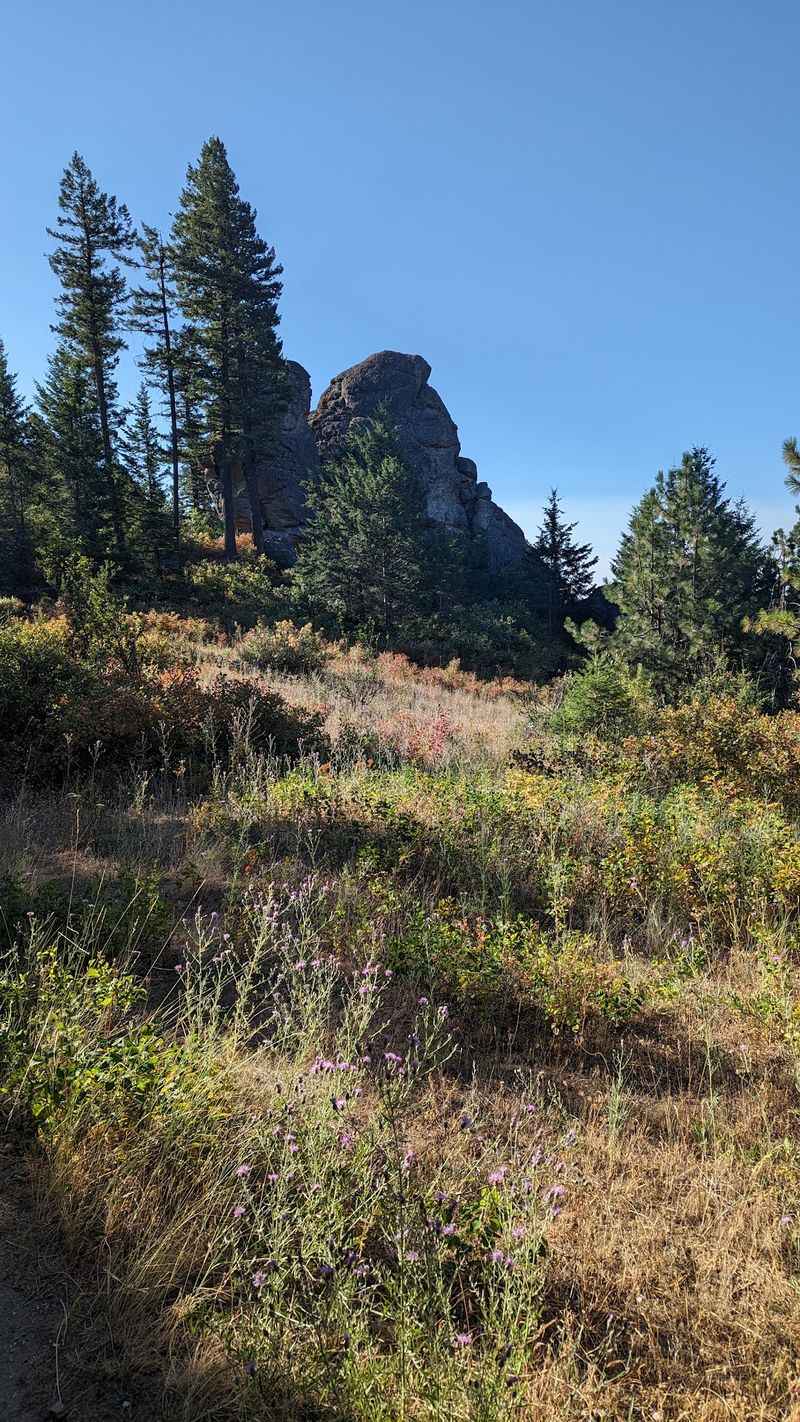 Where Autumn Starts Its Show