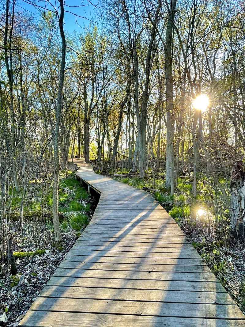 Boardwalks That Keep Your Sneakers Dry Over The Marsh