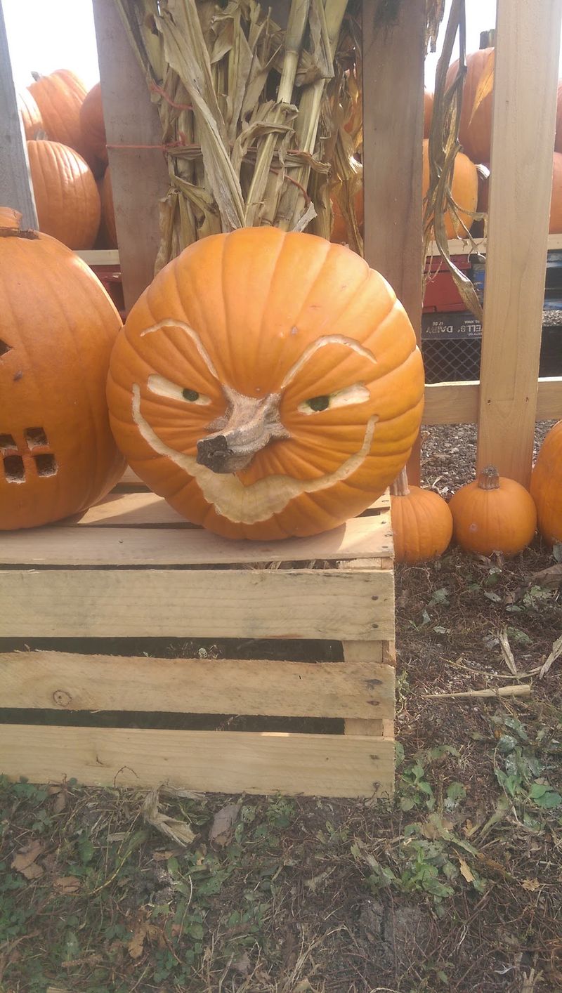 Painted Pumpkins Steal The Show Before You Even Buy A Ticket