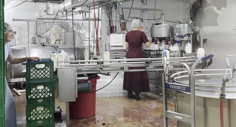 A Big Window Lets You Spy On The Bottling Line