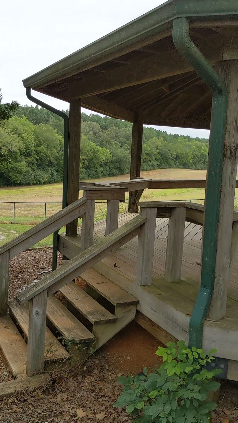 Your Best Seat In The House Is The Viewing Platform