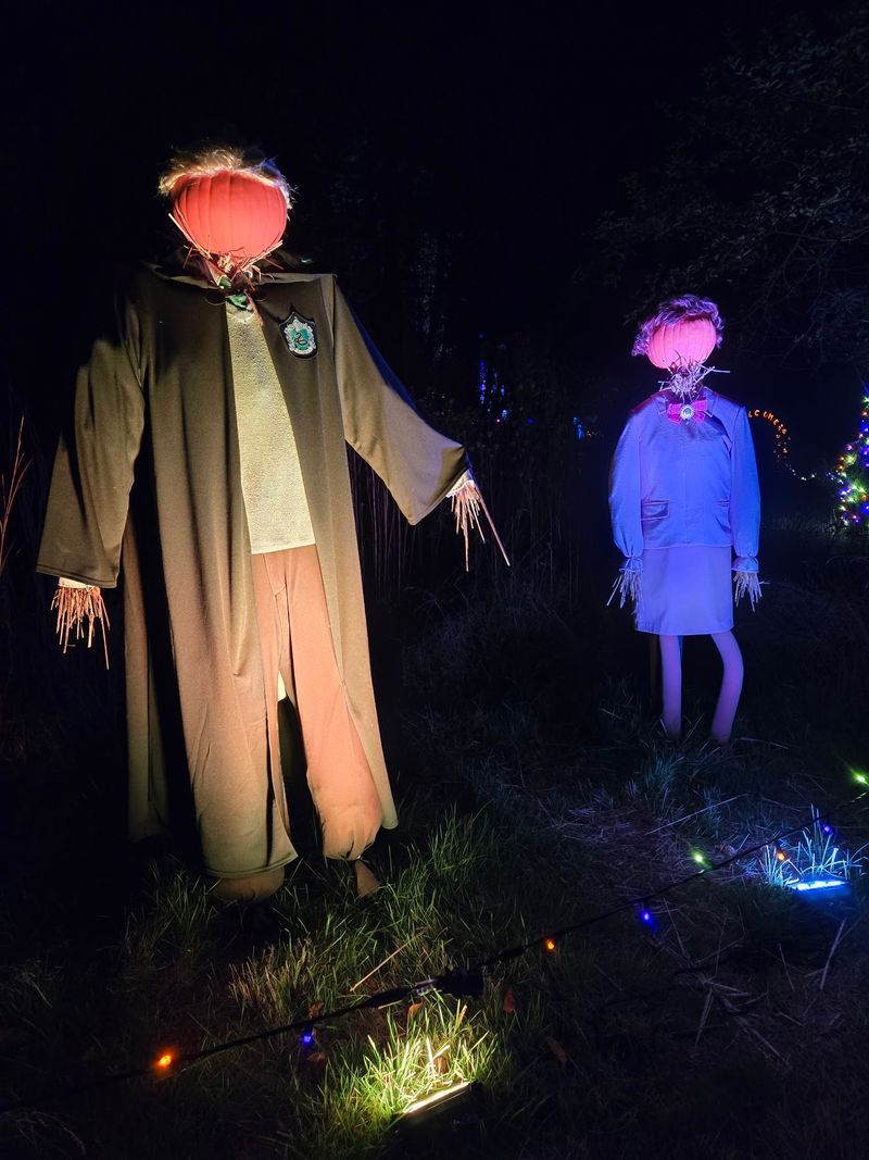 Villains, Superheroes, And Wizards Join The Pumpkin Party