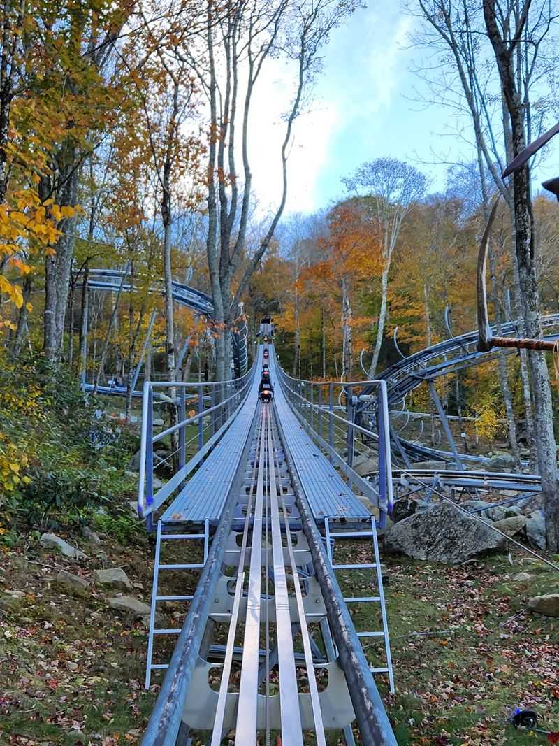 Autumn Turns The Track Into A Rainbow Tunnel