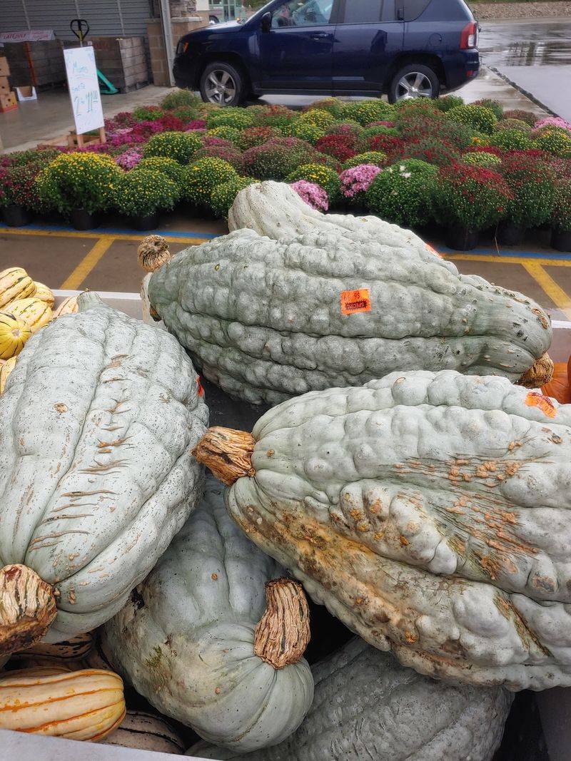 Canning Jars, Garden Mulch, And Dog Food Too