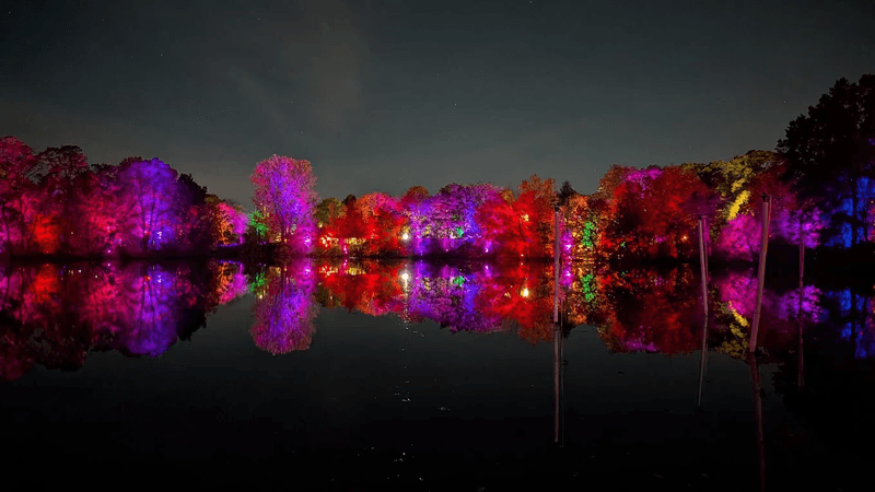 Rain Or Shine, The Pumpkins Keep Glowing