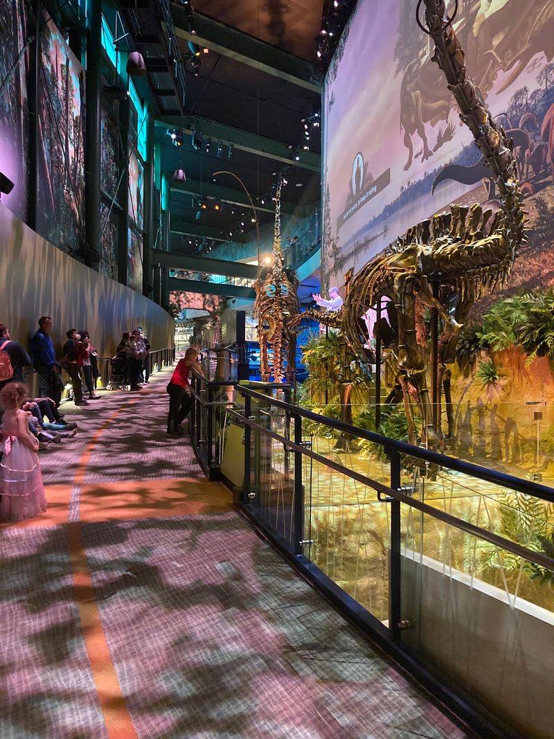 A Century Of Wonder Grew From One Big Idea