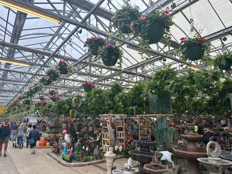 Around 70,000 Hanging Baskets Means Your Porch Has Options