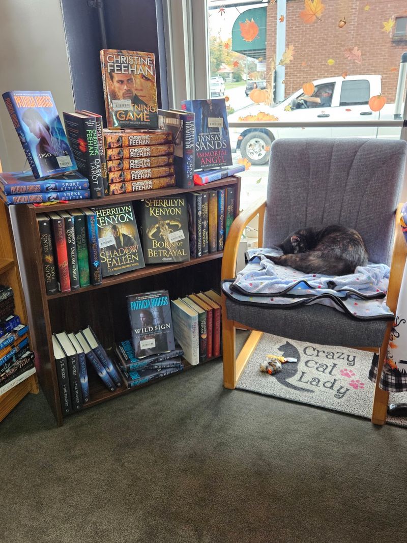 Cozy Corners, Kind Staff, And Easy Hours
