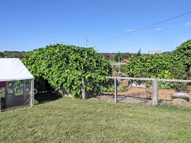 Learn Homesteading Skills And Explore Bedford County