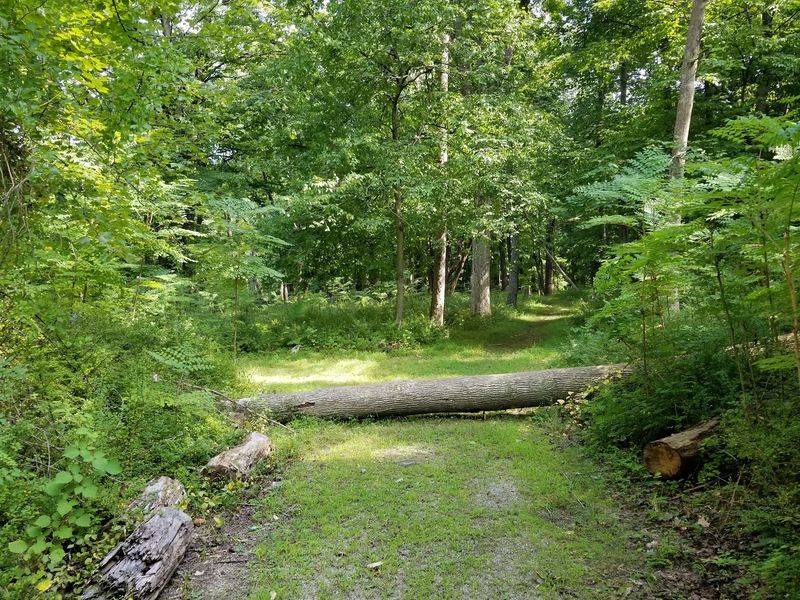 Finding Your Way In Takes A Little Planning